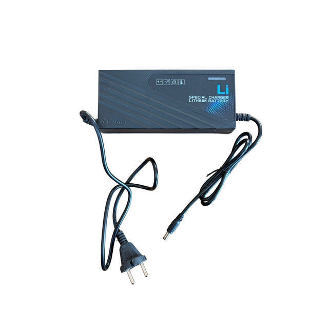 36V 2A Akıllı Lityum Şarj Cihazı